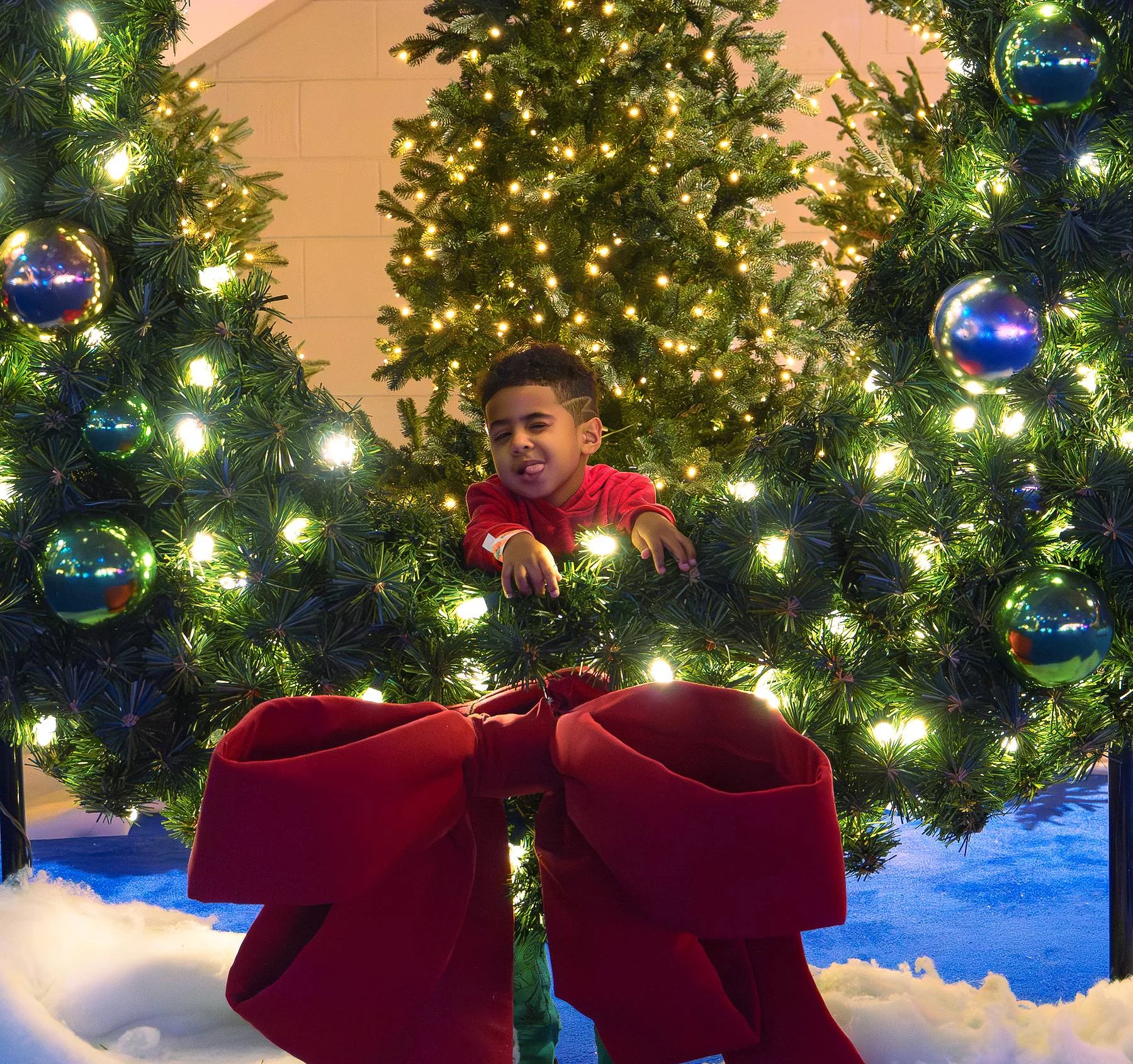 Through the wreath and the lights