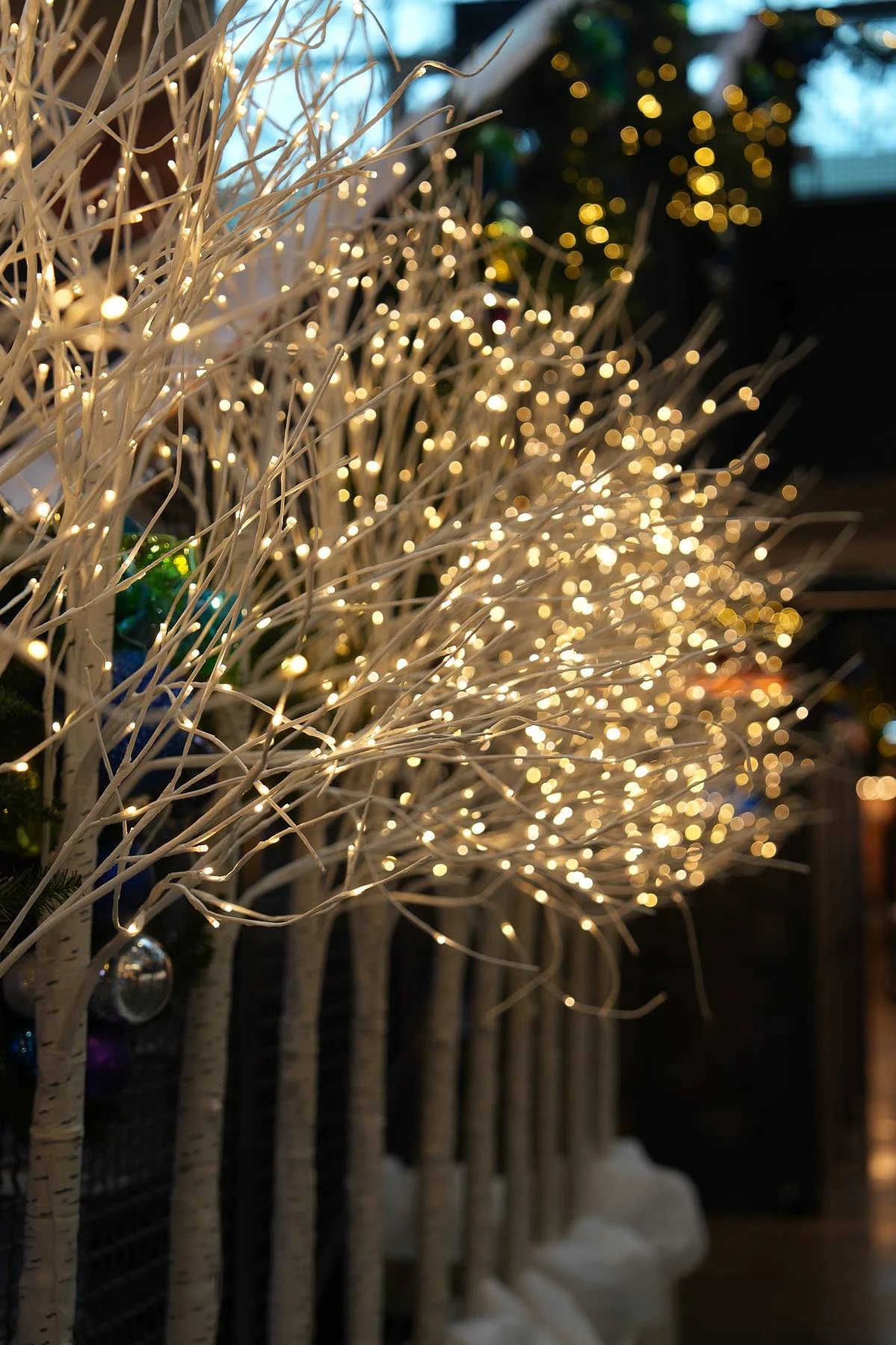 Lit branches over the snow