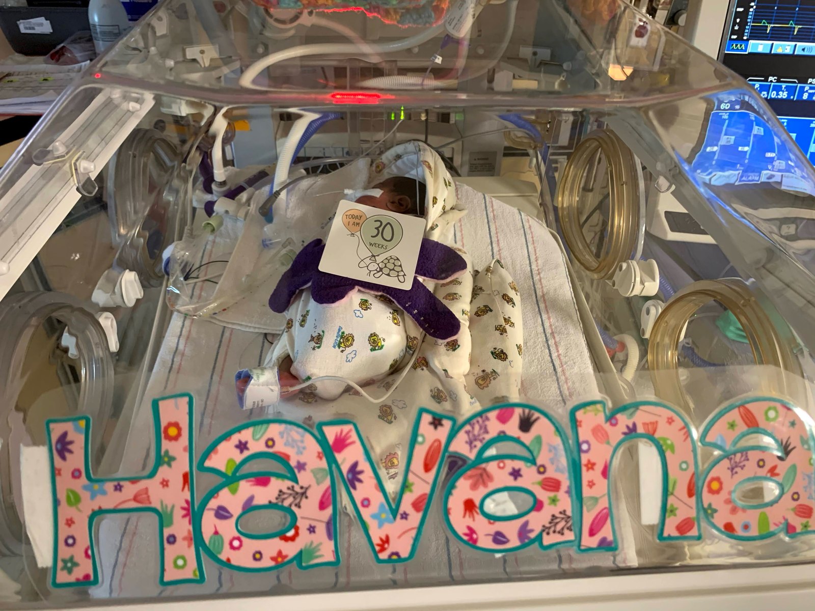 The letters H A V A N A on the wall of a NICU isolette, with a card on her blanket that reads Today I am 30 weeks.